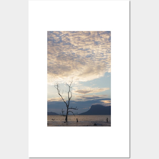 Dead tree in muddy beach at sunset Wall Art by Juhku